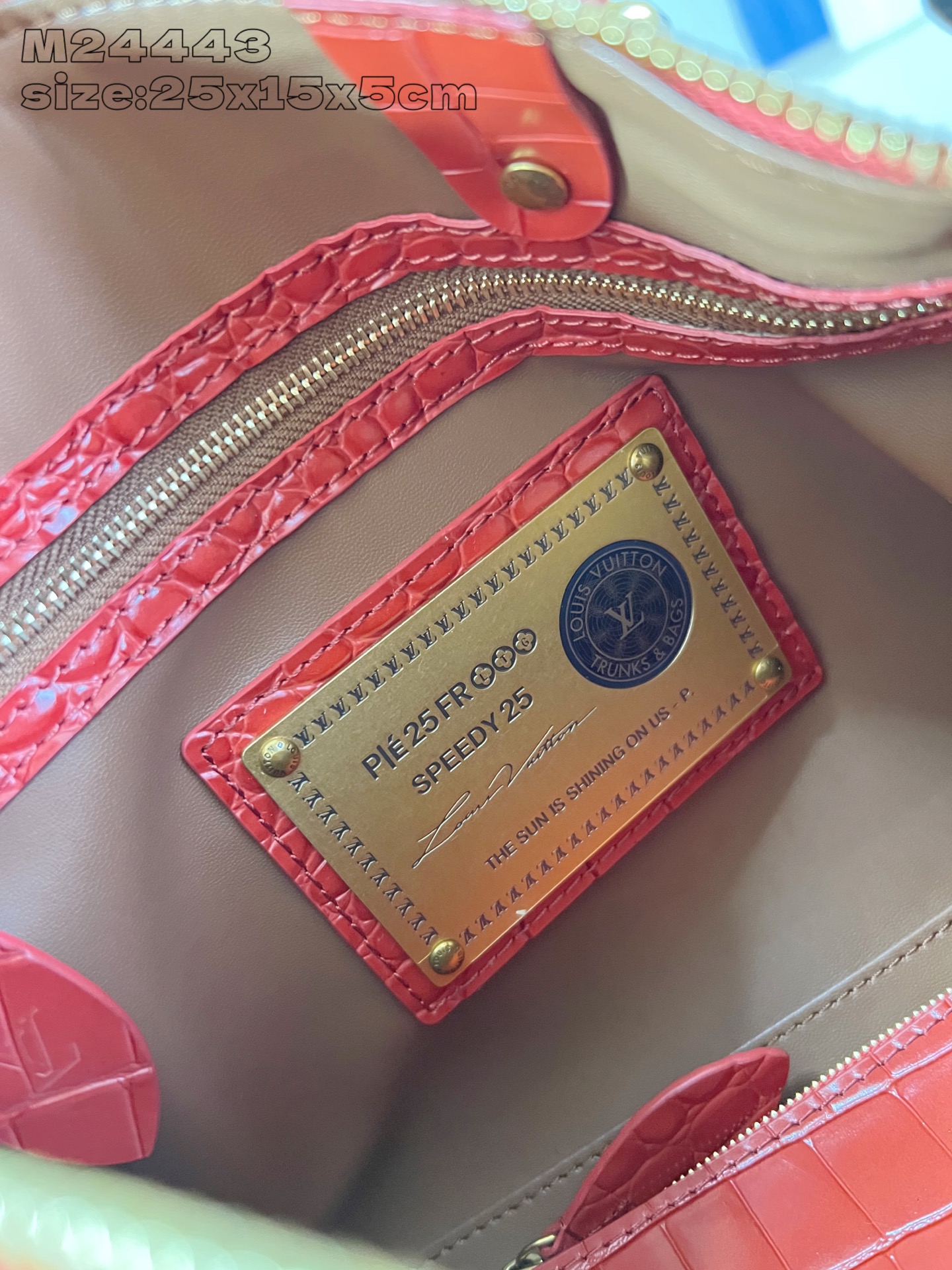 wsxc1762519108546_10